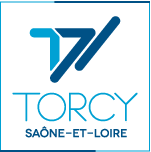 TRANSFERT Torcy Aéroport Lyon 199-90 TTC