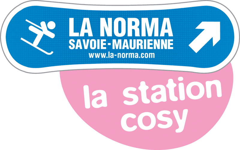 NAVETTE LA NORMA Aéroport Lyon 249-90 TTC 